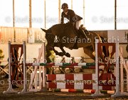 xx FZ TosTour2013- S5 3129 : Arezzo, Arezzo Equestrian Centre, Cavalli d'Italia, Toscana Tour 2013, foto di Stefano Secchi ©, xx FZ